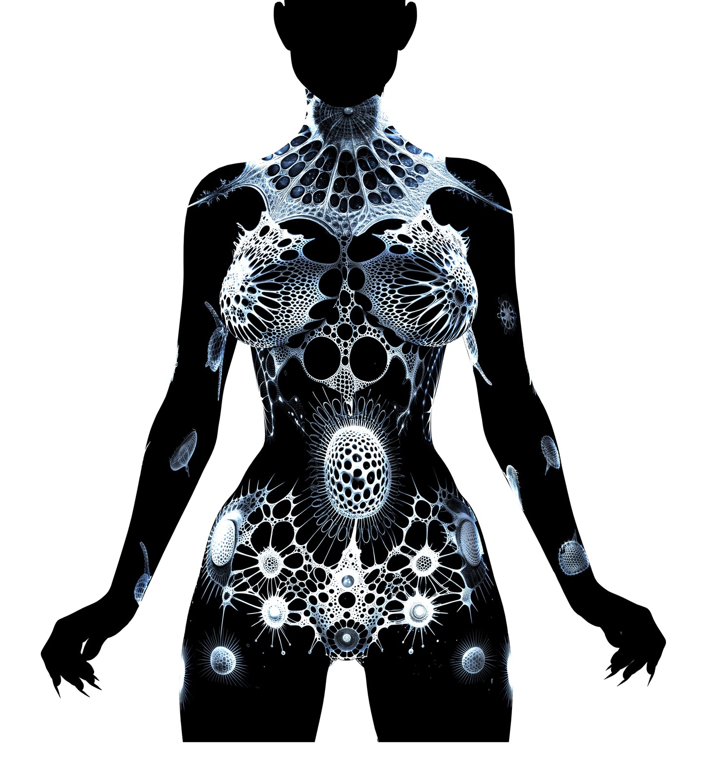 Боді RADIOLARIA | 50% OFF