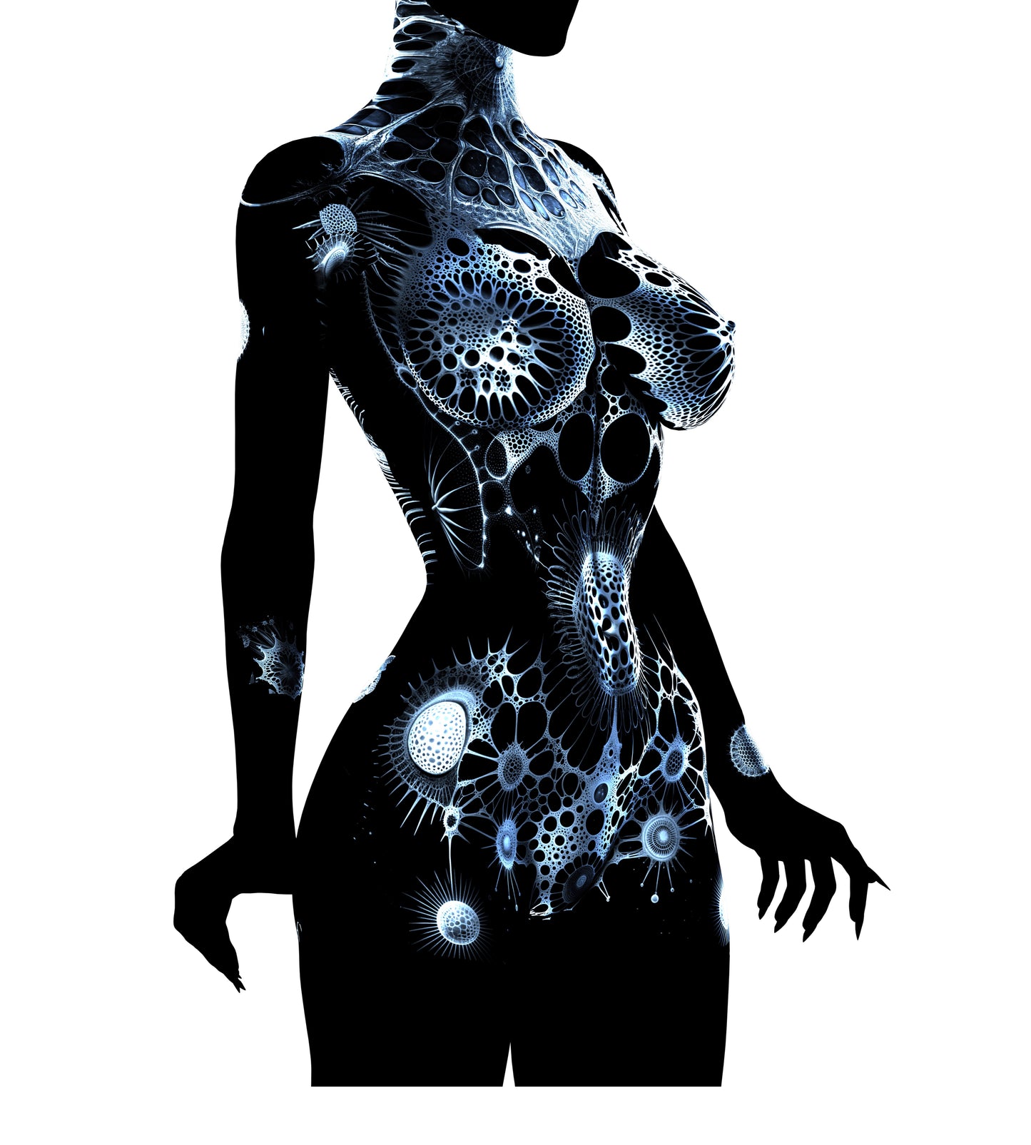 Боді RADIOLARIA | 50% OFF