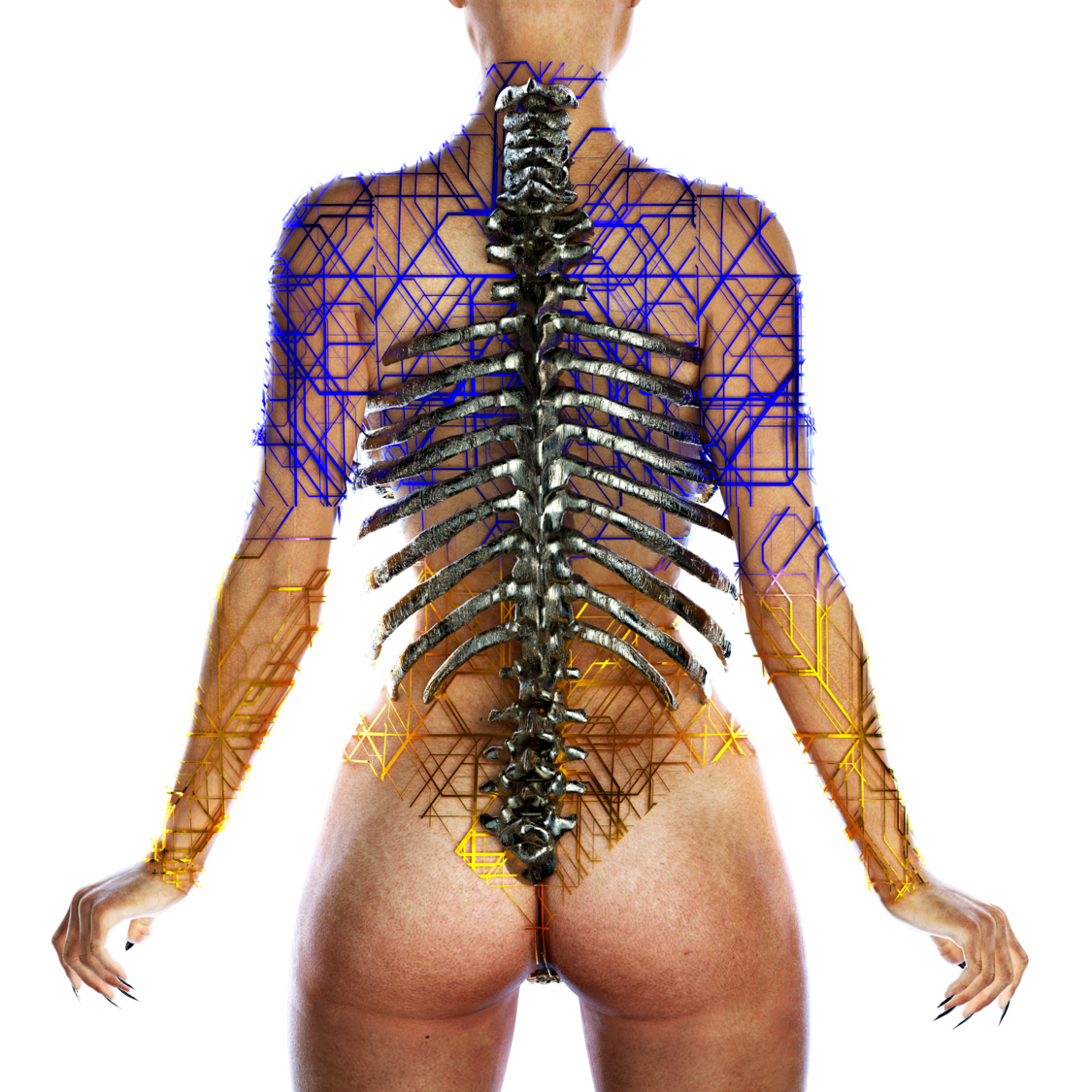 Боді VICTORIA | 65% OFF